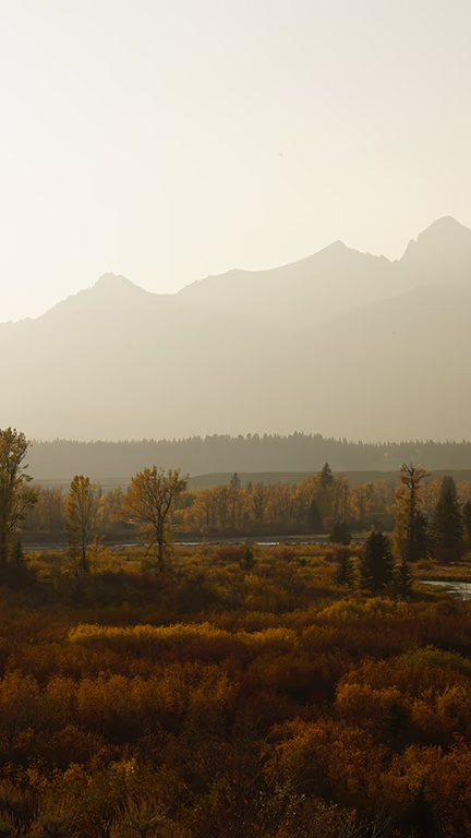 wyoming bespoke wyoming bespoke